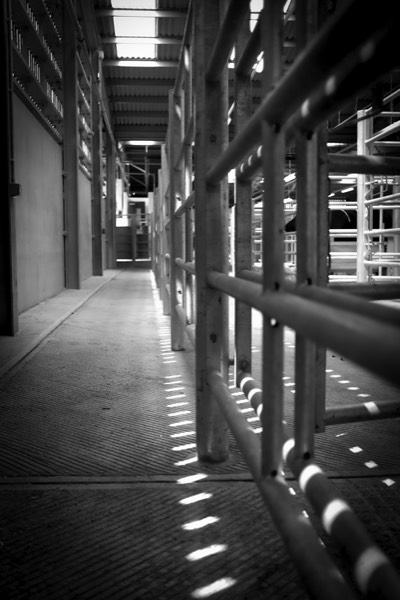 Stacks Image 195